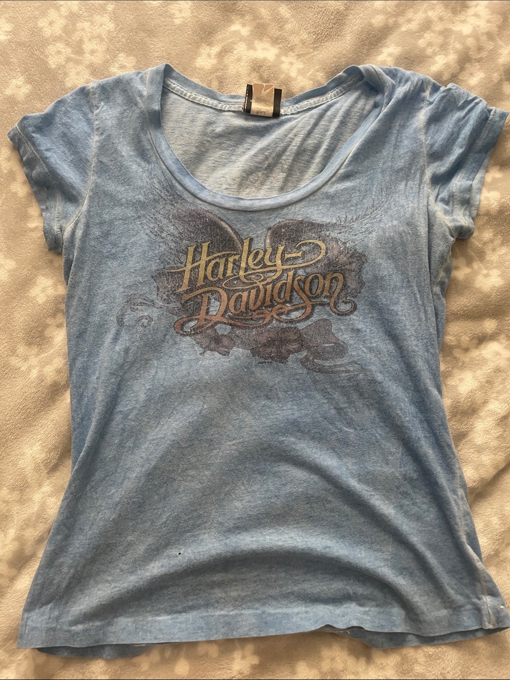 Harley-Davidson Light Blue Graphic Tee with Gold Logo
